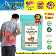 100% Organic Punarnava Powder from Himalaya (100gm) - CERTIFIED ORGANIC