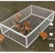 kandang Ayam/jebakan ayam/jebakan burung dan hewan lainnyh