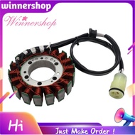 21003-0001  Generator Stator Coil Stator Coil
