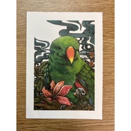 Eclectic Parrot Postcard|Parrot Cabin Ningzi