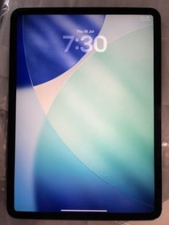 Apple iPad Pro 11 “( 2018) 256gb  wifi  有中文