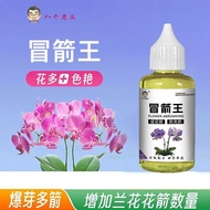 Arrow King Promotes Flower Arrows Anti-Pinch Arrows Popping Multi-Arrows Increase Orchid Flower Arro