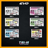 【Hot Sale】EVO Holographic and Glossy Helmet Visor Stickers