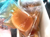 400g 優質高活性康普茶DIY包 Kombucha Scoby 紅茶菌📦SF快遞到付