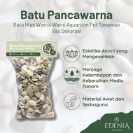 Pancawarna Coral Stone 8kg | Aquarium STONE | Garden Stone | Pot Decoration | Ready to Use