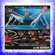 日本正版 萬代  BANDAI 螃蟹環保扭蛋02 全4款 蜘蛛蟹 高腳蟹 螃蟹