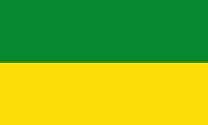 magFlags Large Flag Generic flag green #078930 and yellow #fcdd09 5 x 3, colors according to Taller 