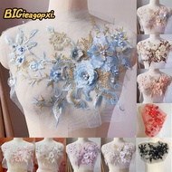 BIGBIEAGOPXI Sequined Embroidery Patches, DIY Sequin Embroidery Embroidered Floral Patches, Sequins 
