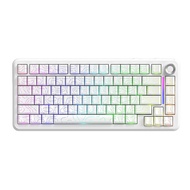FREE WOLF F75 Wireless mechanical gaming keyboard 75% Layout Tri - Mode  4000mAh Hot Swap
