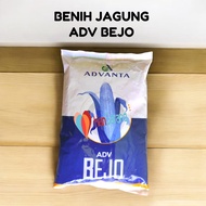 Benih Jagung ADV BEJO Kemasan 1 kg - Advanta Jagung Hibrida