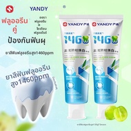 Yandy | ยาสีฟันฟลูออไรด์ ฟอกขาวและป้องกันฟันผุ