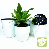 Plastic Pot Self Watering Auto Watering IOB