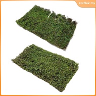 [SzxflieebMY] Miniature Grass Mini Grass Tufts Model Shrubs Bushes Diorama Resin Foliage Simulation 