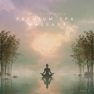 Premium Spa & Massage Relaxing Music Clinic Cafe (CD USB Flash Drive Not Copyrighted)