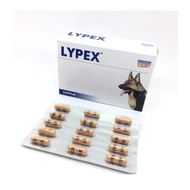 LYPEX Panastic Supplement For Dogs And Cats