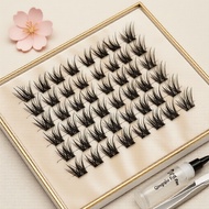 Segmented 3D Fox Eye Lashes (No Glue) – Qingqiu Natural, Photogenic False Lashes Bulu Mata Palsu 3D 