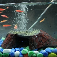 Reptile Turtle Balcony Climbing Rock Balcony Basking