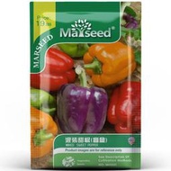 現貨 快速發貨 2到3天發貨  盲盒系列進口品種混裝生菜辣椒胡蘿卜南瓜西瓜番茄蔬菜種子籽
