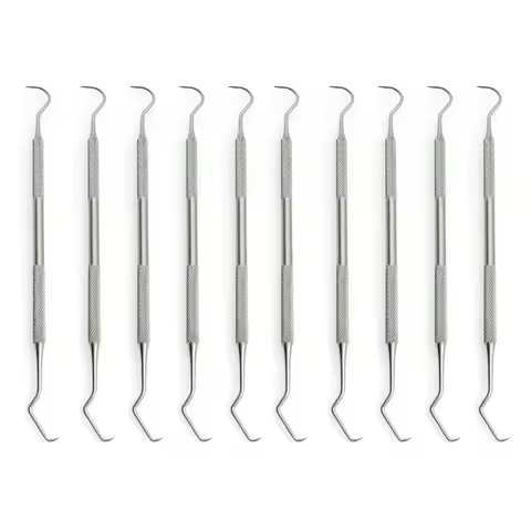 10PCS Double Hook Tooth Dental Explorer Probe Dentist Tool Stainless Steel Dental Tool Teeth Clean H
