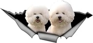 Bichon Frise Car Sticker 15 cm (5.9 Inch) Bichon Frise Car Sticker 3D Ripped Car Sticker Waterproof 