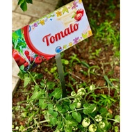 Tomato Garden Plant Signage