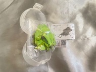昆蟲扭蛋