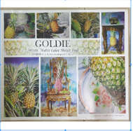 GOLDIE A2 SIZE WATER COLOR DARWING PAPER 300GSM (1 SHEET)