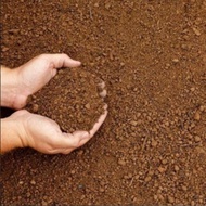 Top Soil (10kg) / Gardening Soil