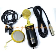 Taffstudio Condenser Microphone Shock Proof Mount bm 8000-Gold Catinpusai