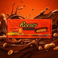 Reese’s Snack Size Peanut Butter Cups 8pcs – Chocolate Treat Pack