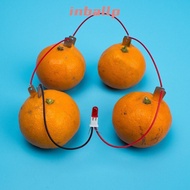 INBALLP Electricity Experiments Science Kit, Bio Energy STEM Experiment Kit Fruit Battery Science Ex