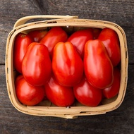 Tomato Roma VF Dwarf Compact 50 Seeds Container Friendly Easy Grow