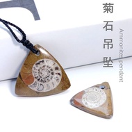 Natural Ancient Biological Fossil Ammonite Pendant Jewelry Necklace Marine Biological Fossil Jewelry