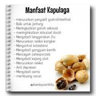 KAPULAGA JAWA 100 G KAPOL KERING REMPAH JSR BIJI KAPOLAGA ORIGINAL LOKAL CARDAMOM RESEP DR DOKTER ZA