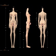 〖 SERENADEDOLL 〗 SDS 1/3 Special Body-Female Body Body bjd Doll Body