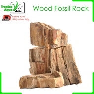 Wood Fossil Rock Purified Wood Rock aquarium aquascape fish tank aquascaping deco 木化石
