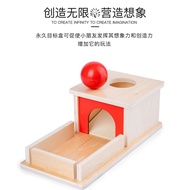 Montessori Sensory Sorting Drop Box Wooden Educational Toys Kids Baby 8 months