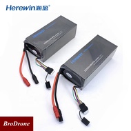 Herewin Lithium Battery 22000mAh 6S 22.2V Agricultural Drone Bateri Dron