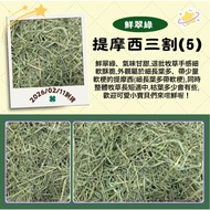 Timothy 3 Cuts (5) ※ 2/11 Arrival Multiple Packages Discount < Futukang > Fresh Emerald Green Three 