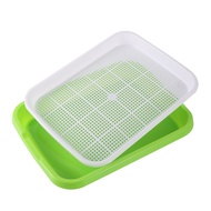 1set Sprouting Tray Double Layer Pea Mung Bean Peanut Wheat Hydroponic Sprout Plate Seedling Sprouter Cat Grass Soilless Planting Pot