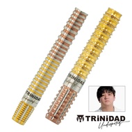 TRiNiDAD Undisputed KID Tomoya Goto Second Generation 22.5g Third Generation 21.5g Soft Tungsten Ste