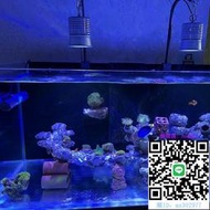 魚缸燈全光譜LED珊瑚燈海水缸水族藻缸筒燈爆藻定制30w大功率出苔燈水族燈