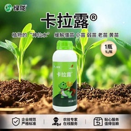 Kara Lu Magic Water 卡拉露神仙水-