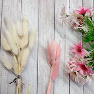 Bunny tail 1pcs