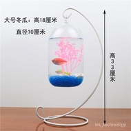 Betta Tank Small Ecological Hanging Office Desktop Betta Tank Fish Tank Decoration Transparent Glass