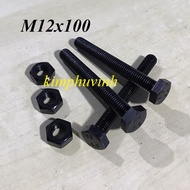 02 SETS - 12x100mm BLACK STEEL BULONG - BLACK BULON 8.8 (BULON + CANOPY)