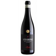 Allegrini Amarone della Valpolicella Classico 2018 Italy Red Wine