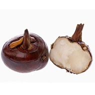 100g+- Water Chestnut
