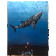 Draw Like Acrylic Color Canvas Frame A3 (30x40cm)