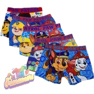New cute Character Printed Paw Patrol Boxer Brief For Boy cotton underwear kids short Trianawears